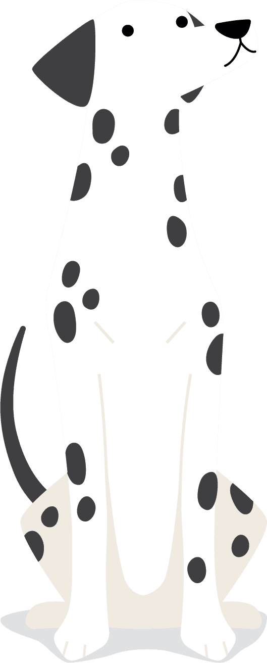 dalmatian